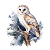 WATERCOLOR Barn Owl thumbnail
