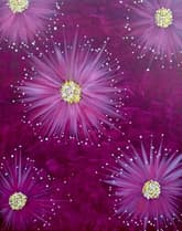 Firework Flowers thumbnail