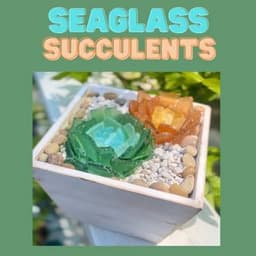 Seaglass Succulents thumbnail
