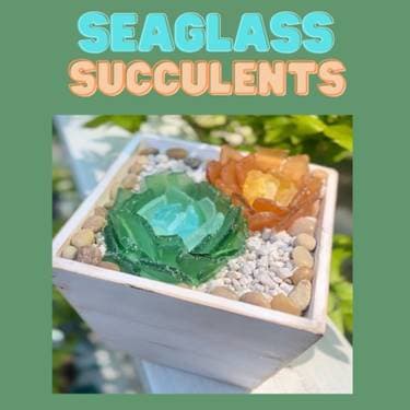 Seaglass Succulents - Paint and sip event at MoonFish Brewery in RIVERHEAD, NY - PaintNite.com