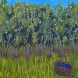 Blueberry Harvest thumbnail