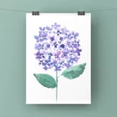 Watercolor Hydrangea thumbnail
