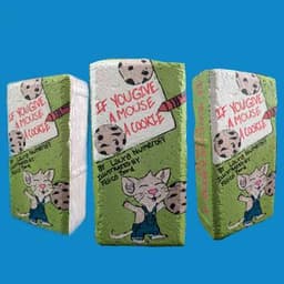 Paint Your Own Book Brick thumbnail