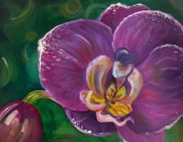 Purple Summer Orchid thumbnail