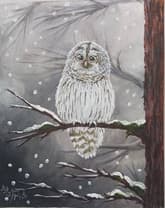 Owl in Winter White thumbnail