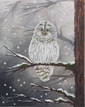 Owl in Winter White - Paint Nite event in Lindsay , ON