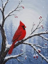 Winter’s Song thumbnail