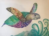 Rainbow Turtle thumbnail