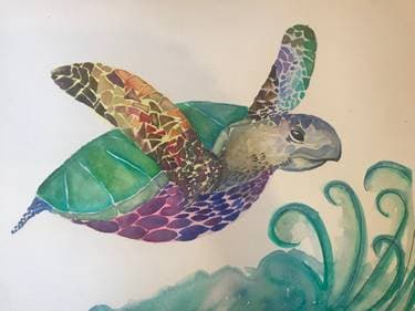 Rainbow Turtle with Melody Gillespie