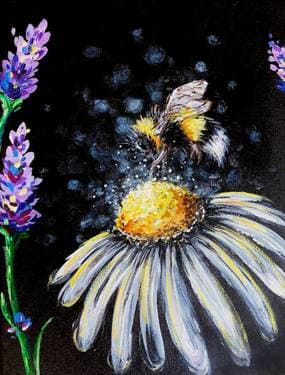 Daisy and Bumblebee with Melody Gillespie