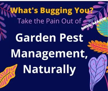 Garden Pest Management, Naturally — Painting