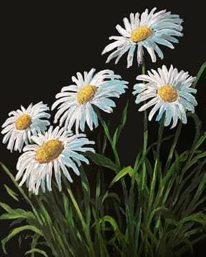 Wild Spring Daisies - Paint and sip event at The Canadian Brewhouse - Mahogany in Calgary, AB - PaintNite.com