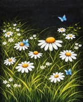 Daisies and Butterflies thumbnail