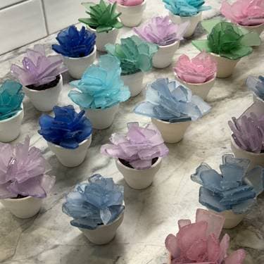 Create Your Own Seaglass Succulents Set of 3 - Paint and sip event at Momo's Sport Bar and Grill Too (Bayport) in Bayport, NY - PaintNite.com