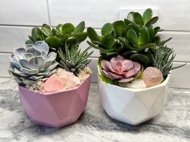 Mothers Day Succulents and Rose Quartz - Paint and sip event at Soulberry Coffee house in Tacoma, WA - PaintNite.com