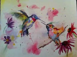 hummingbirds colorful thumbnail