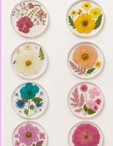 Pressed Flower & Resin Coasters thumbnail