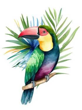 WATERCOLOR The colorful Toucan with Jade Scarlett
