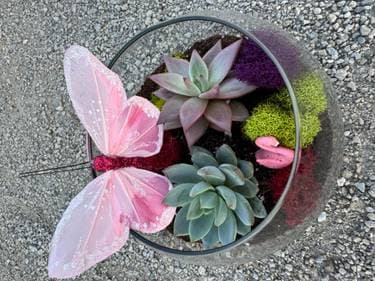 Spring Fresh Terrarium - Paint Nite event in MARKHAM, ON
