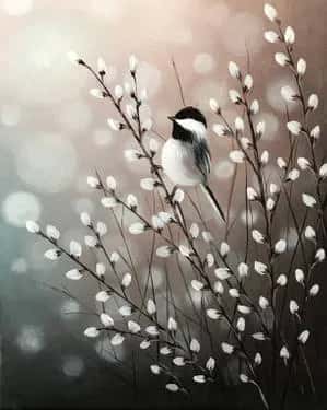 Chickadee Radiance