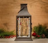 Winter Lantern with Birches thumbnail