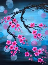 Cherry Blossoms in Bloom thumbnail