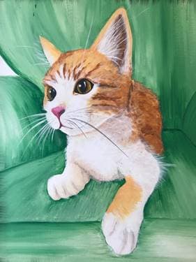 Paint Your Pet: Kitty Feature - Paint and sip event at Logan's Roadhouse Chico in Chico, CA - PaintNite.com