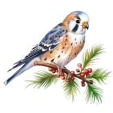 WATERCOLOR Bird and Berries thumbnail