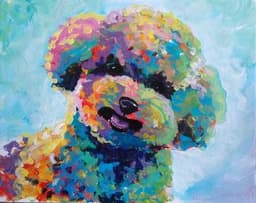 Pippin The Happy Poodle thumbnail