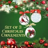 DIY Hand Painted Ornaments: Cardinal, Festive Wreath, Snowflake thumbnail