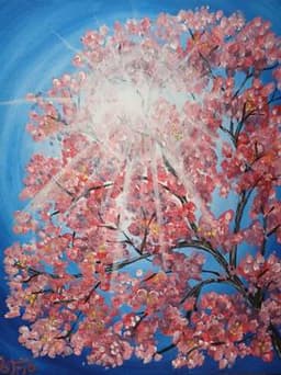 Sunburst Cherry Blossoms thumbnail