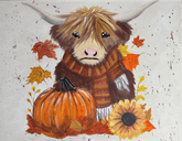 Honey The Highlander thumbnail