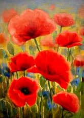 Poppies thumbnail