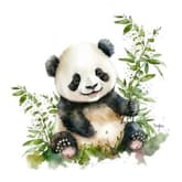 WATERCOLOR Panda Bear thumbnail