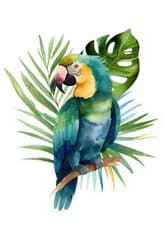 WATERCOLOR The Colorful Parrot thumbnail