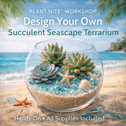 Succulents By The Sea- Plant Nite Workshop thumbnail
