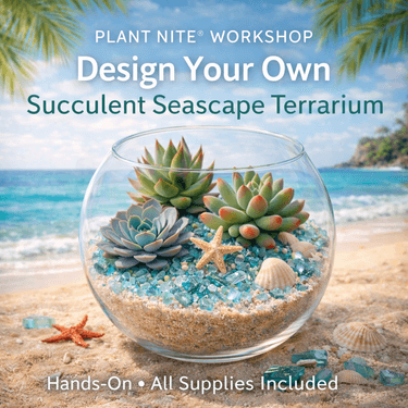 Succulents By The Sea- Plant Nite Workshop - Paint and sip event at Momo's Sport Bar and Grill Too (Bayport) in Bayport, NY - PaintNite.com