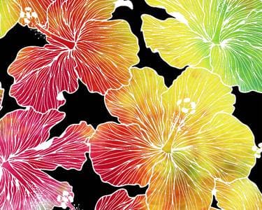 Galaxy Rainbow Hibiscuses - Paint and sip event at Boomerang’s Down Under Bar Millcreek in SALT LAKE CTY, UT - PaintNite.com