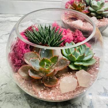 Rose Bowl Rose Quartz Succulent Garden - Paint and sip event at Lord Hobo Brewing Company in WOBURN, MA - PaintNite.com