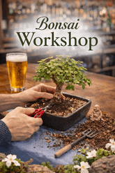 Bonsai Workshop- Elephant Bush Dwarf Jade Tree thumbnail