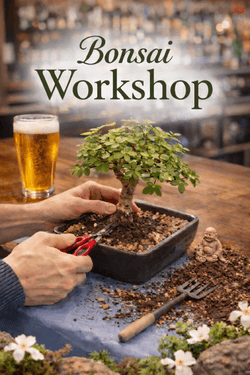 Bonsai Workshop- Elephant Bush Dwarf Jade Tree - Paint Nite event in Bayport, NY