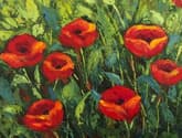 Red Poppies in garden thumbnail