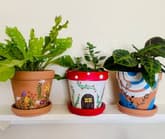 Paint Nite: Let’s Paint Flower Pots thumbnail