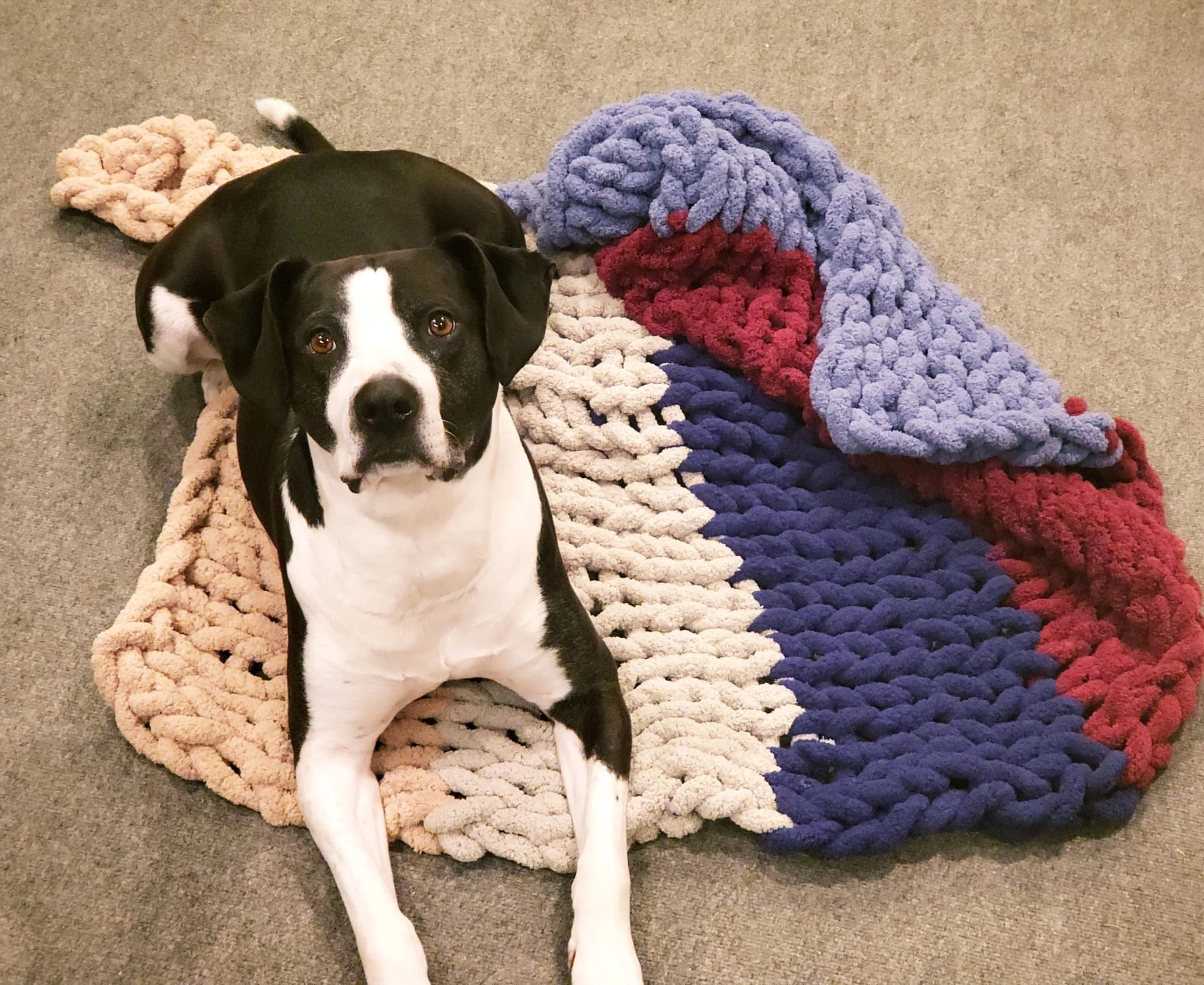 Chunky Blanket - Virtual Event
