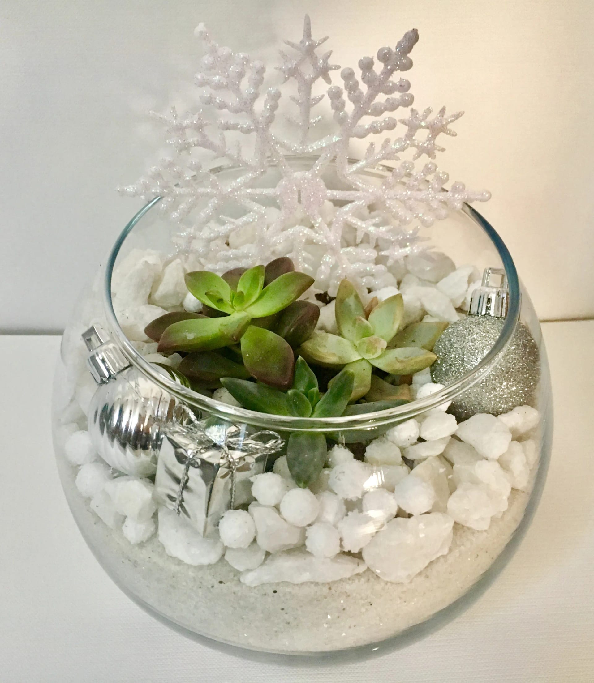 White Christmas Succulent Terrarium-Rose Bowl