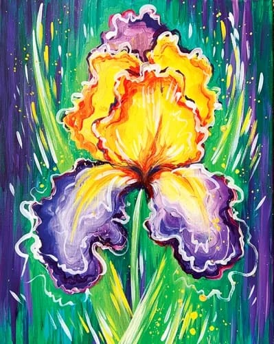 Spring Iris in Purple and Yellow