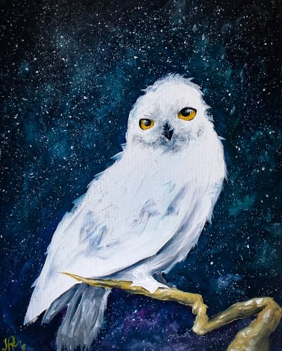 White Owl