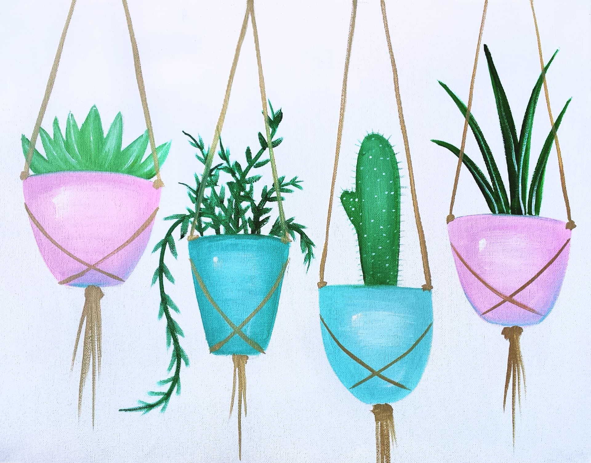 Hanging Succulents
