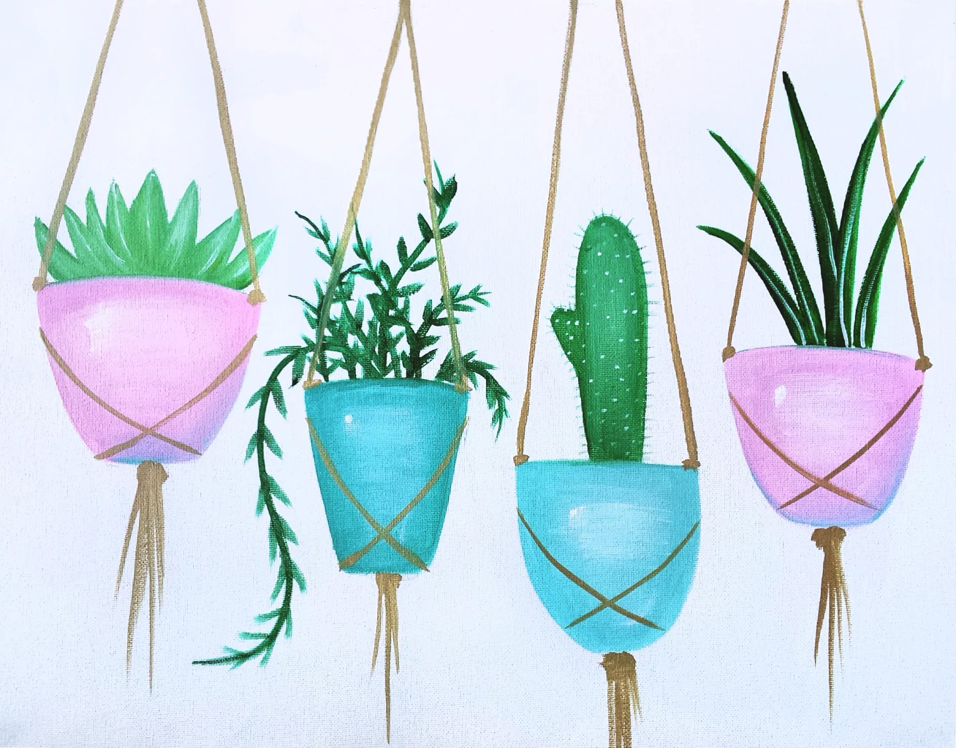 Hanging Succulents