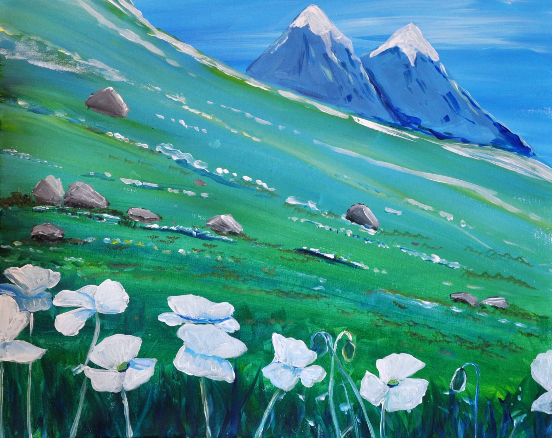 Alpine Meadow